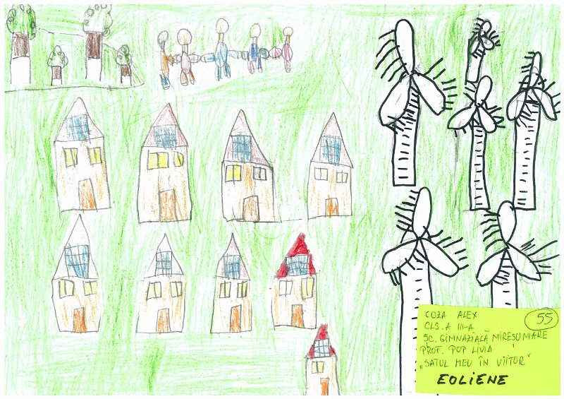 55_Alex COZA_Miresu Mare.jpg